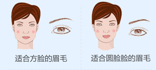 不同脸型的眉毛形状一