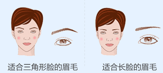 不同脸型的眉毛形状二