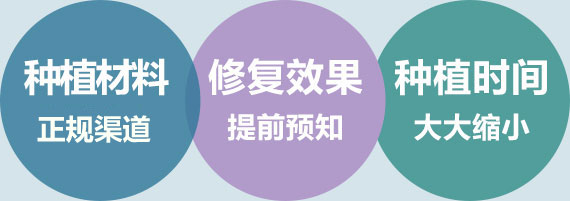 种植牙6