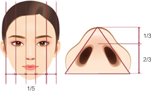不错鼻翼